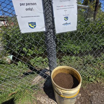 Fillmore Fish Hatchery - Free fish food - Wildlife Control Near Me - Fillmore, California Fillmore Fish Hatchery - Free fish food - Wildlife Control Near Me - Fillmore, California
