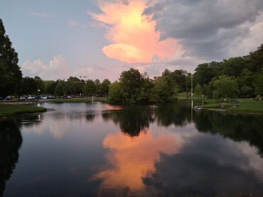 Avondale Park by null