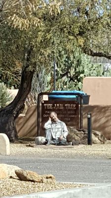 The Jail Tree by null