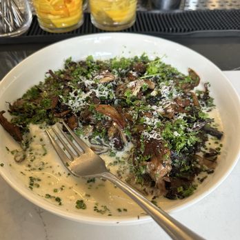 Speck Italian Eatery - Funghi pasta - Italian Near Me - Columbus, Ohio Speck Italian Eatery - Funghi pasta - Italian Near Me - Columbus, Ohio