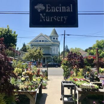 Encinal Nursery - Nurseries & Gardening Near Me - Alameda, California