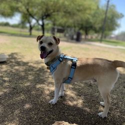 Papago  Park