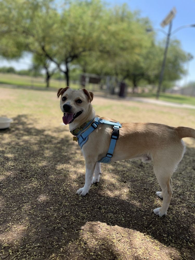 PAPAGO PARK Updated October 2024 17 Photos & 42 Reviews 1000 N