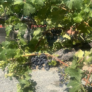 Bally Keal Estate - Wineries Near Me - Fairfield, California Bally Keal Estate - Wineries Near Me - Fairfield, California