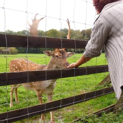 Wildpark