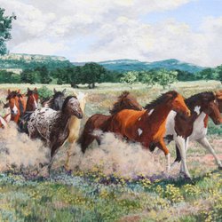Clare Arts