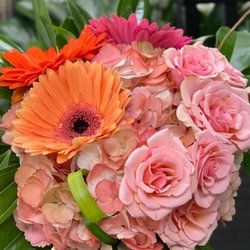 Johnston's Quality Flowers