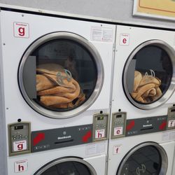 Eco-Express - Drier