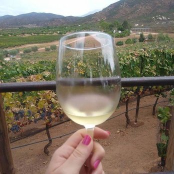 Valle Tours - Vino blanco especial para el calor - Wine Tours Near Me Valle Tours - Vino blanco especial para el calor - Wine Tours Near Me