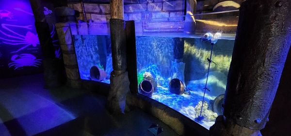 SEA LIFE Arizona Aquarium by null