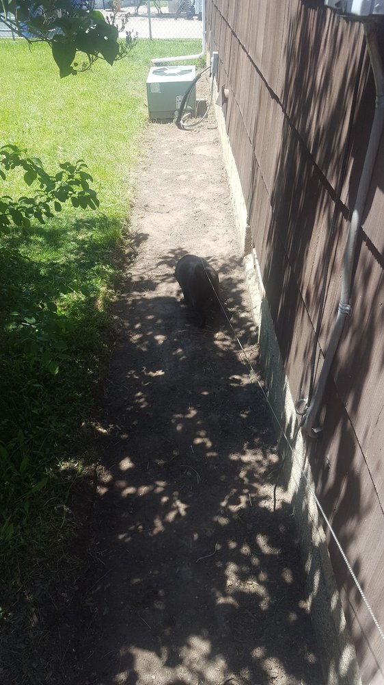 D&A Landscaping - tree service in Williamsville, NY