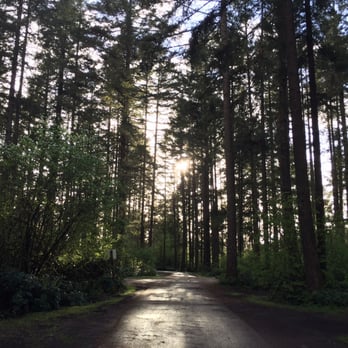 American Heritage Campground - Nice tall trees surround the site - Campgrounds Near Me - Olympia, Washington American Heritage Campground - Nice tall trees surround the site - Campgrounds Near Me - Olympia, Washington