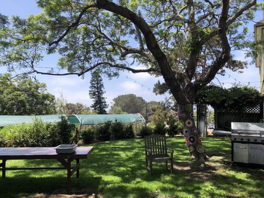 Olivewood Gardens and Learning Center by null