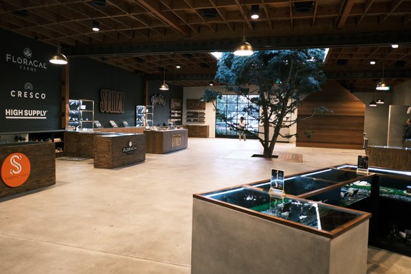 ERBA Sawtelle by null