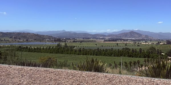 Kingston Family Vineyards by null