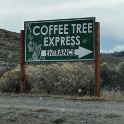 Coffee Tree Express - Had the best Eggnog Latte, thank you!