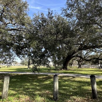 City Park - Parks Near Me - New Orleans, Louisiana City Park - Parks Near Me - New Orleans, Louisiana