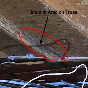 Moldex The Mold Experts - Mold found in my attic. Your house doesn't know you don't live in the attic, so it matters. - Home Inspectors Near Me - Scottsdale, Arizona Moldex The Mold Experts - Mold found in my attic. Your house doesn't know you don't live in the attic, so it matters. - Home Inspectors Near Me - Scottsdale, Arizona