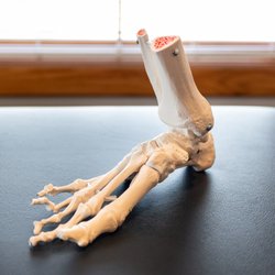 Mountaineer Orthopedic Specialists