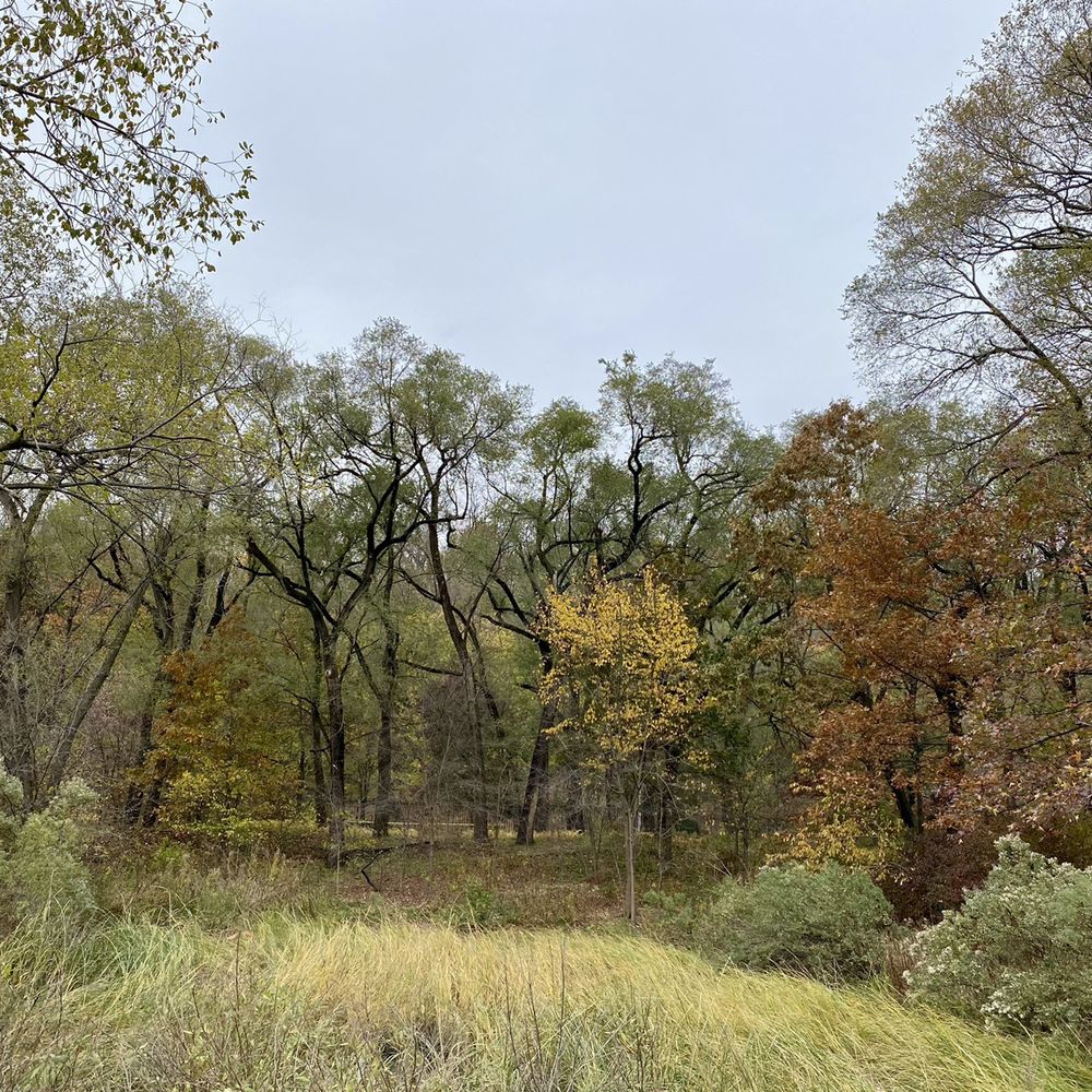 Sherman Creek - Fall of 2020 - Parks Near Me - New York, New York Sherman Creek - Fall of 2020 - Parks Near Me - New York, New York