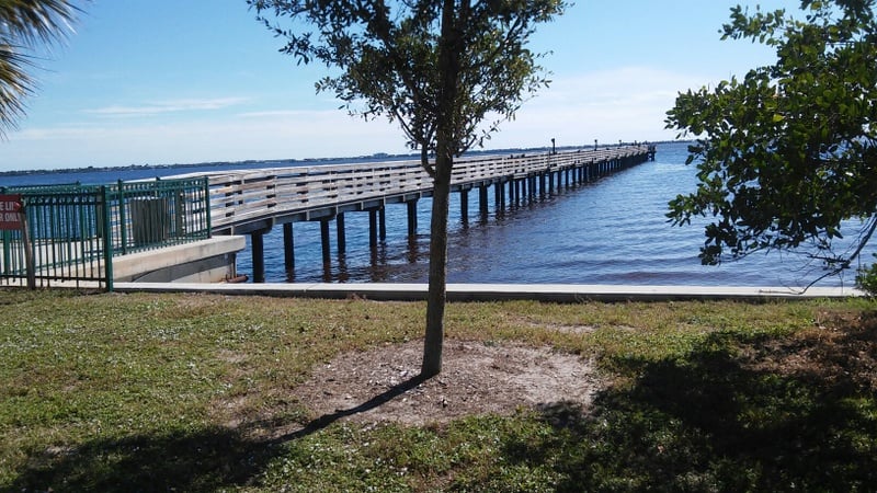 Bayshore Live Oak Park
