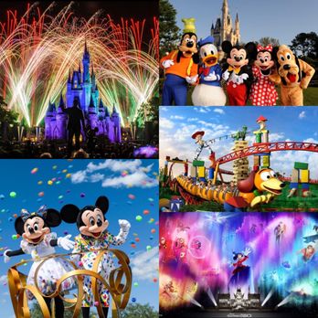 AVY Travels - Te ayudanos a conocer la magia! - Travel Agents Near Me - Hialeah, Florida