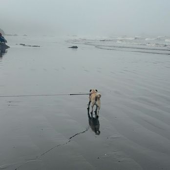 Ruby Beach - Beaches Near Me Ruby Beach - Beaches Near Me