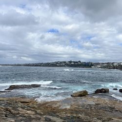 Clovelly Beach