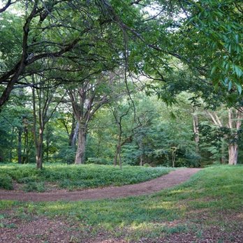 Arnold Arboretum - Parks Near Me - Boston, Massachusetts