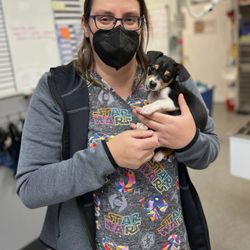 Los Gatos Dog & Cat Hospital - Raeann with the cutest little puppy.