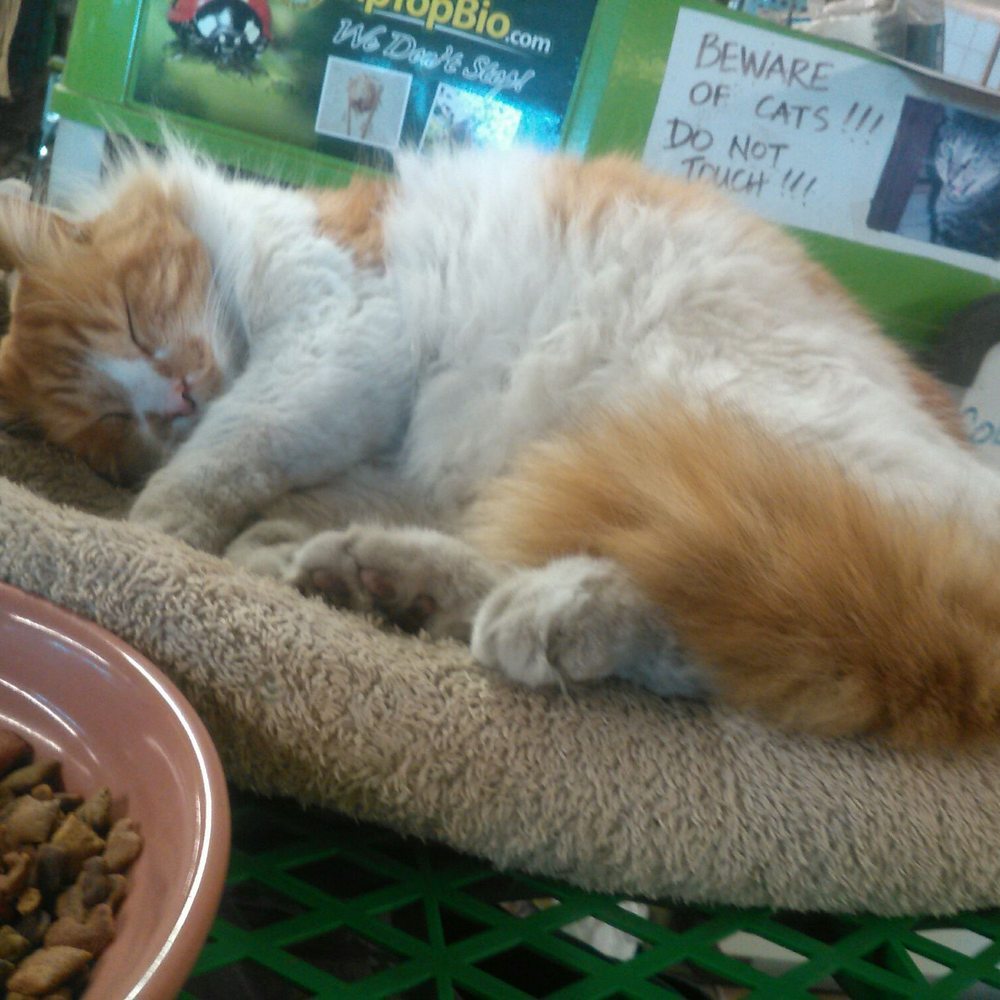 Sego Nursery - Let sleeping cats lie. Do not touch. - Nurseries & Gardening Near Me - Valley Village, California