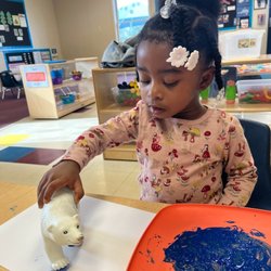 Chesterbrook Academy Preschool