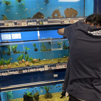 Petco - Pet Stores Near Me - Novato, California Petco - Pet Stores Near Me - Novato, California
