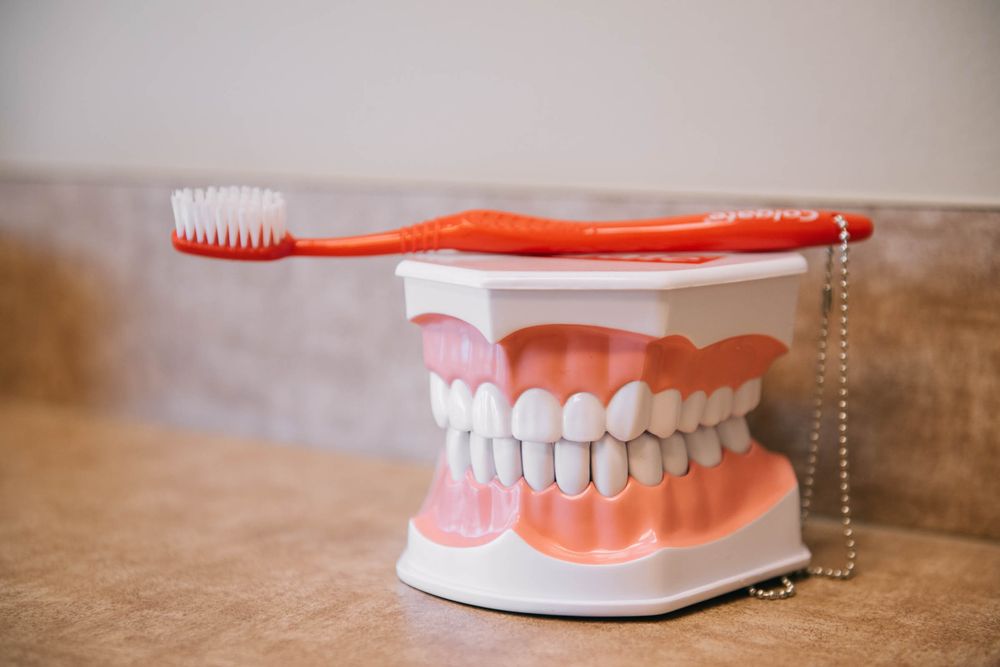 PROFESSIONAL DENTAL Updated August 2024 433 S Best Ave, Walnutport