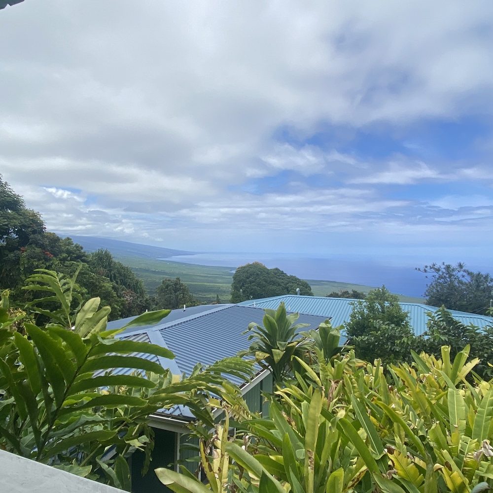 Hala Tree Coffee - Attraction Farms Near Me - Captain Cook, Hawaii Hala Tree Coffee - Attraction Farms Near Me - Captain Cook, Hawaii