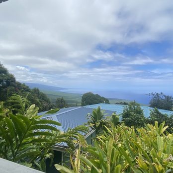 Hala Tree Coffee - Attraction Farms Near Me - Captain Cook, Hawaii
