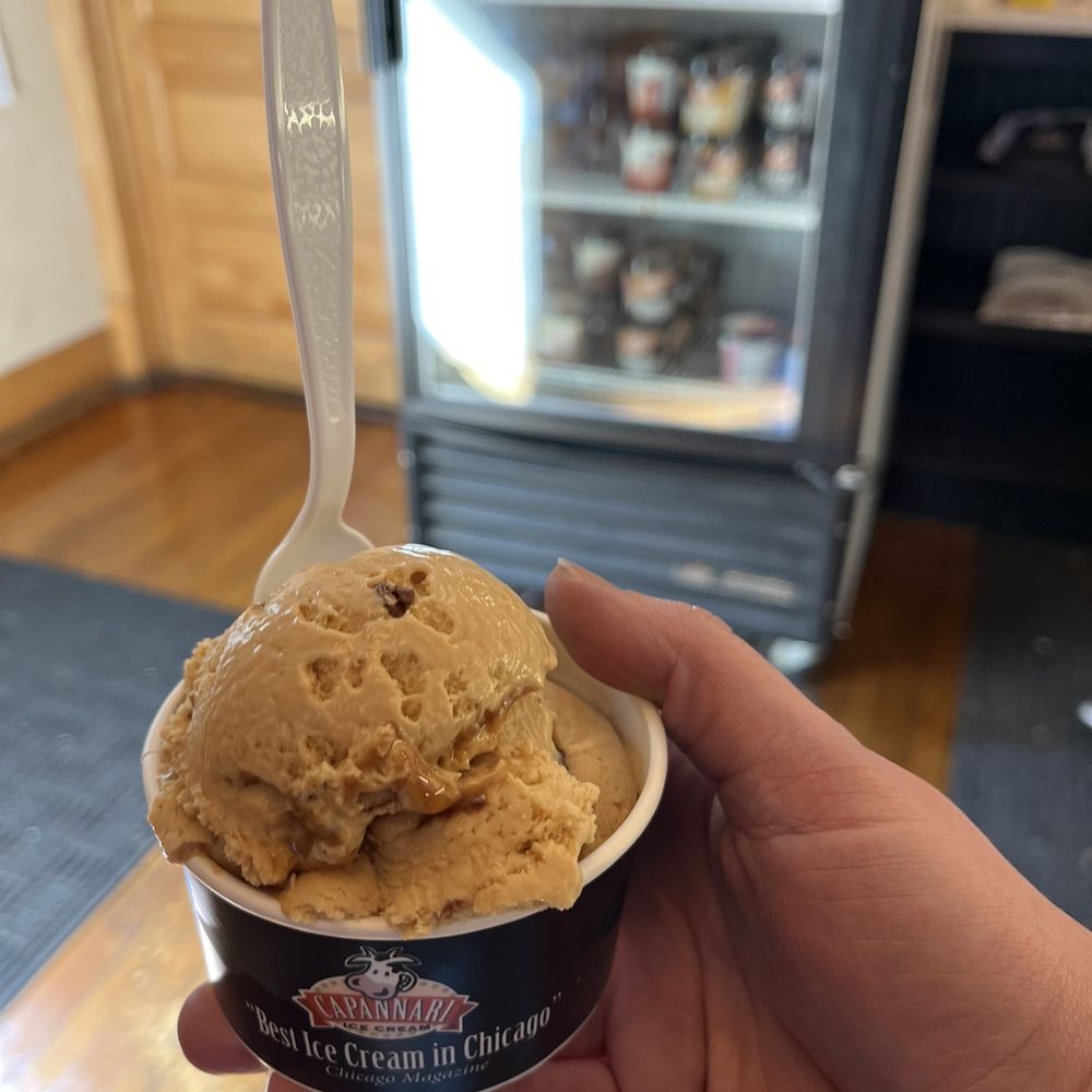 Cap’s Ice Cream - Sea Salt Caramel - delicious! - Ice Cream & Frozen Yogurt Near Me - Mount Prospect, Illinois