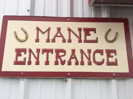 Pegasus Project by null