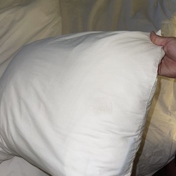 Quality Inn Airport - Another stain on a different pillow case. - Hotels Near Me - Saint Louis, Missouri Quality Inn Airport - Another stain on a different pillow case. - Hotels Near Me - Saint Louis, Missouri