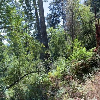 Five Brooks Ranch - Pano on trail - Horseback Riding Near Me - Olema, California
