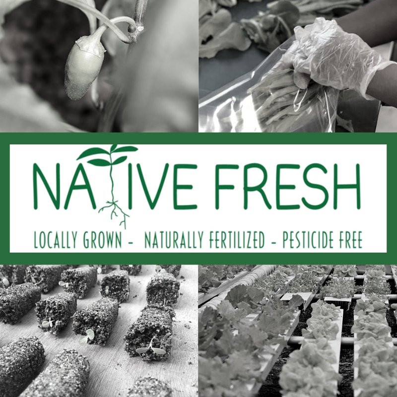 Native Fresh Logo