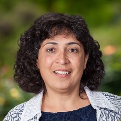Roya Mirmiran, DPM