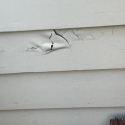 Catanzaro and Sons - Exterior sides, paint significantly peeling