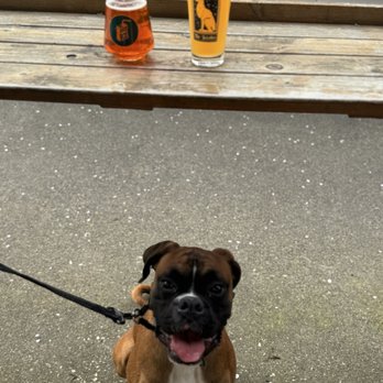 The Juice Box - Stanley and our beers - Beer Bar Near Me - Centralia, Washington