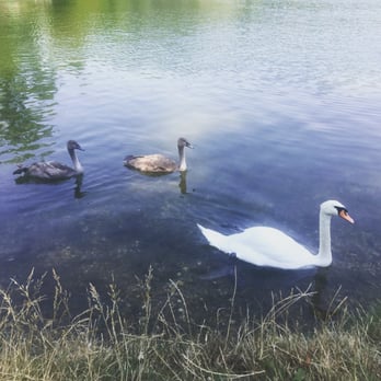 Dechantlacke - Lakes Near Me - Vienna, 9