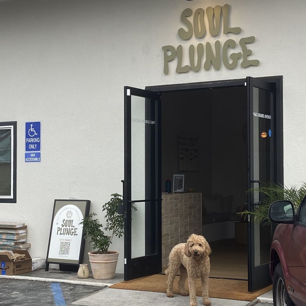 Soul Plunge - The owners cutie dog! - Yoga Near Me - La Jolla, California