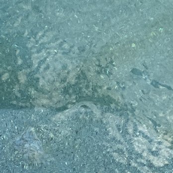 Pool Troopers - Pool scum - Pool Cleaners Near Me - Fort Myers, Florida