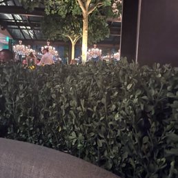 Smelly hedge.