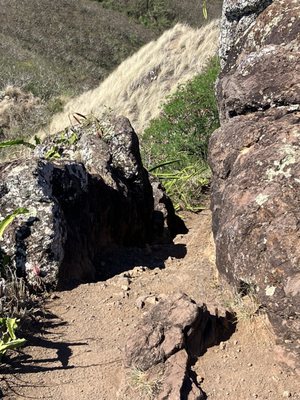 Lanikai Pillbox Trail by null