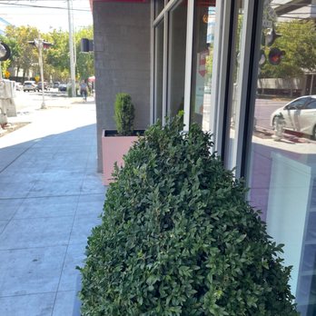 Mochinut - Donuts Near Me - Sacramento, California